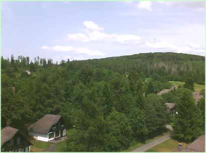 De vrijstaande bungalows onderaan het vakantiepark