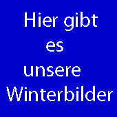 Bekijk onze winterfoto's.