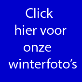 Bekijk onze winterfoto's.
