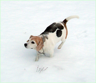 Ik heb koude achterpootjes.